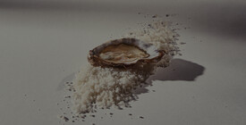 Düsseldorf Geöffnete Auster auf einem Bett aus grobem Salz.