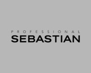 Grauer Hintergrund mit schwarzem Schriftzug „PROFESSIONAL SEBASTIAN“, dargestellt als Logo der Marke.